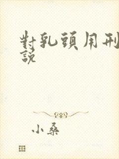 对乳头用刑的小说