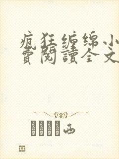 疯狂缠绵小说免费阅读全文最新