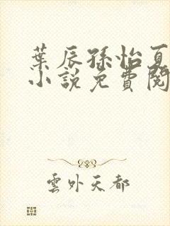 叶辰孙怡夏若雪小说免费阅