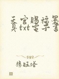 天官赐福墨香铜臭txt电子书