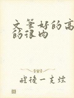 文笔好的高质量的很肉
