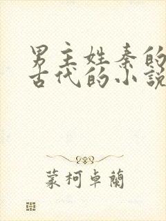 男主姓秦的穿越古代的小说