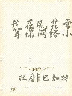 我在风花雪月里等你网络小说