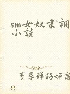 sm女奴隶调教小说