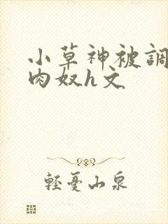 小草神被调教成肉奴h文封面