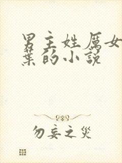 男主姓厉女主姓叶的小说封面