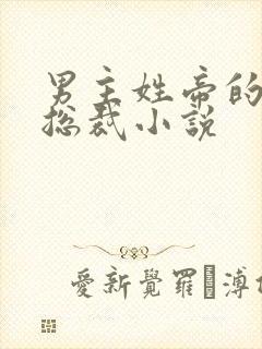 男主姓帝的霸道总裁小说