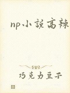 np小说高辣文