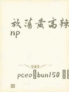 放荡黄高辣h文np