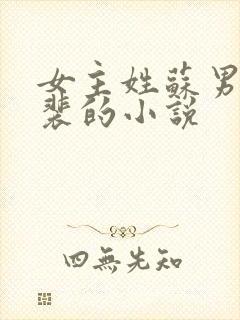 女主姓苏男主姓裴的小说