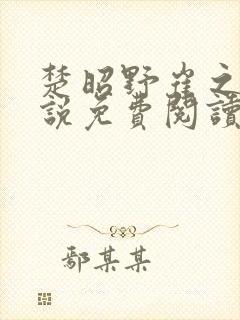 楚昭野崔之棠小说免费阅读最新章节