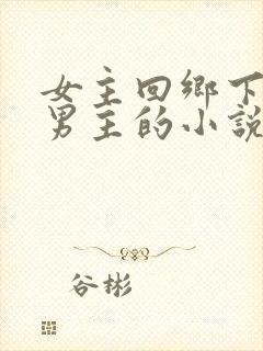 女主回乡下遇到男主的小说