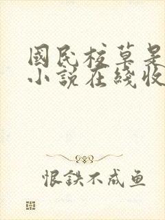 国民校草是女生小说在线收听封面