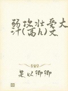 弱攻壮受大胸奶汁(高h)文