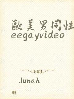 欧美男同性freegayvideo