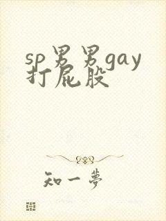 sp男男gay打屁股