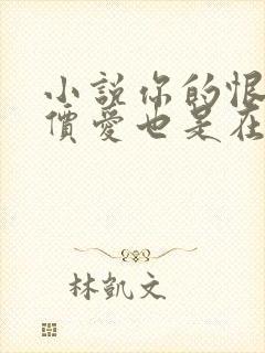 小说你的恨很廉价爱也是在线阅读