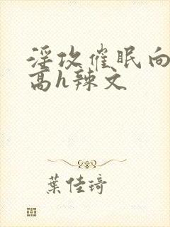 淫攻催眠向np高h辣文