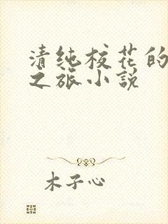 清纯校花的堕落之旅小说