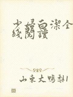 少妇白洁全集在线阅读