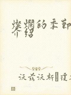 灿烂的季节剧情介绍封面