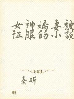 女神娇妻被无赖征服的小说