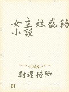 女主姓盛的现代小说