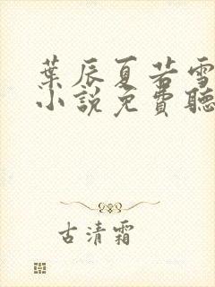 叶辰夏若雪有声小说免费听封面