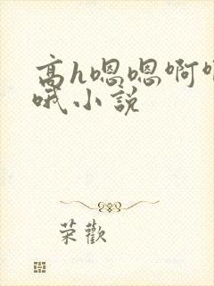 高h嗯嗯啊啊哦哦小说封面