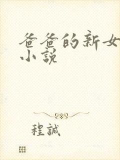 爸爸的新女儿 小说