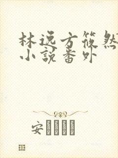 林逸方筱然同人小说番外