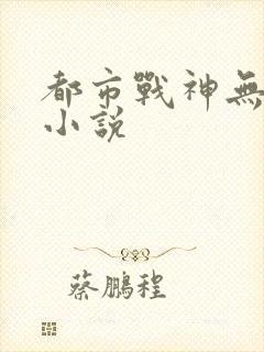 都市战神无双 小说