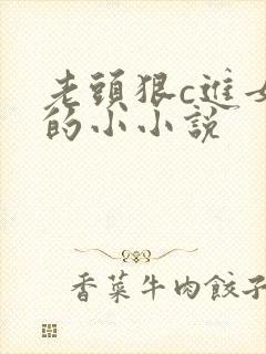 老头狠c进女友的小小说