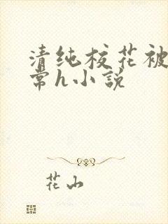 清纯校花被脔日常h小说