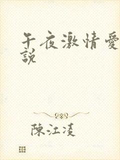 午夜激情爱爱小说封面