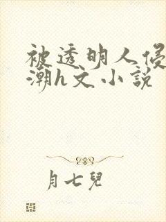 被透明人侵犯高潮h文小说封面