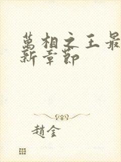 万相之王最新更新章节