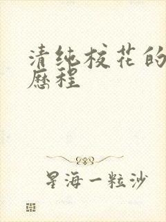 清纯校花的调教历程