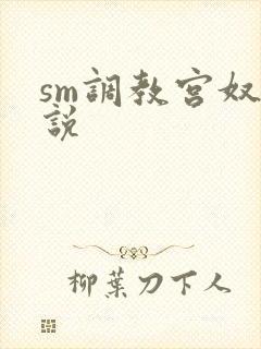 sm调教宫奴小说封面