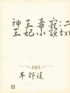 神王毒宠:二嫁王妃小说txt