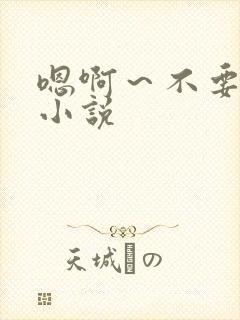 嗯啊～不要啊h小说