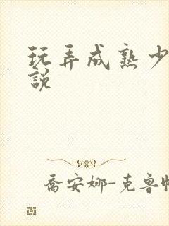 玩弄成熟少妇小说封面