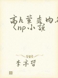 高h荤爽肉欲文〈np小说封面