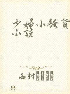 少妇小骚货系列小说