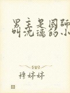 男主是国师女主叫沈璃的小说封面