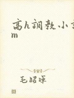 高h调教小说sm