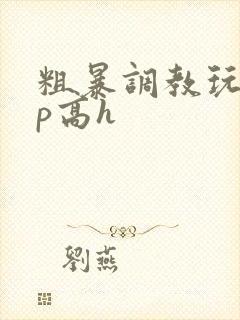 粗暴调教玩弄np高h