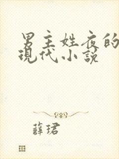 男主姓夜的所有现代小说封面