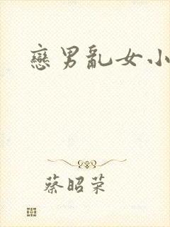 恋男乱女小熊封面