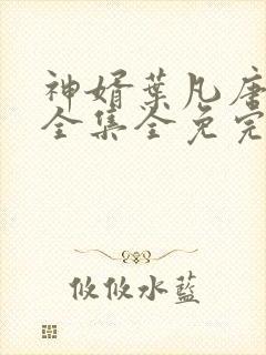 神婿叶凡唐若雪全集全免完本封面